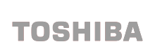 toshibagray